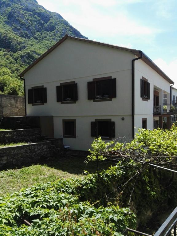 Alex Guesthouse Kotor Bagian luar foto